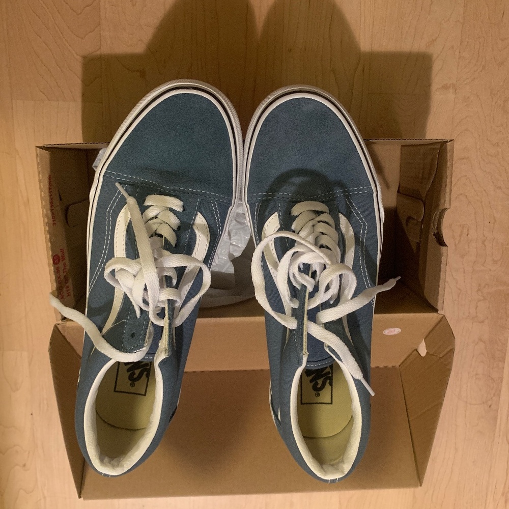 Vans Old Skool skate shoes